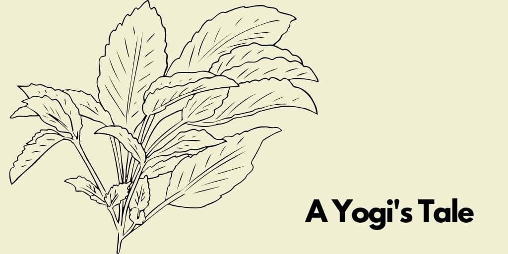 A Tale of Two Villages & A Yogi, Sarguru&nbsp;SriBrahma