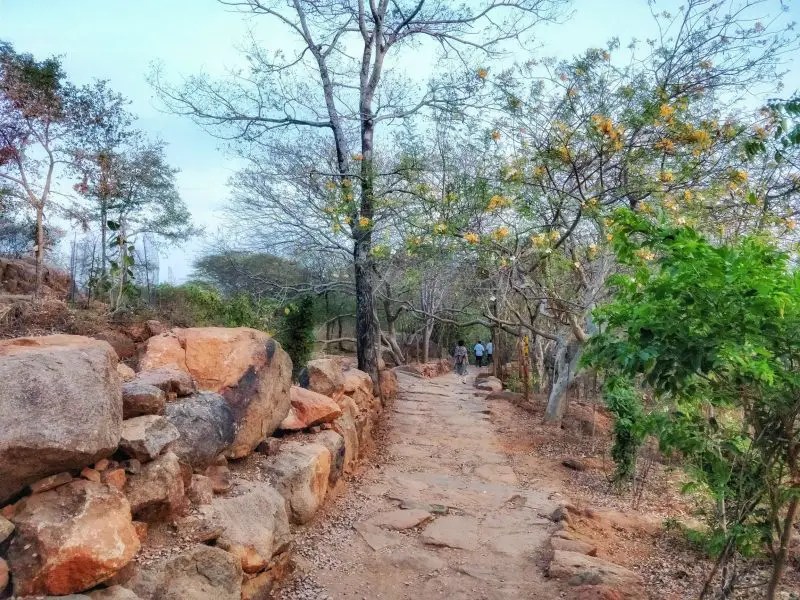 Two Different Spiritual Paths and Gurus – Can It&nbsp;Work?