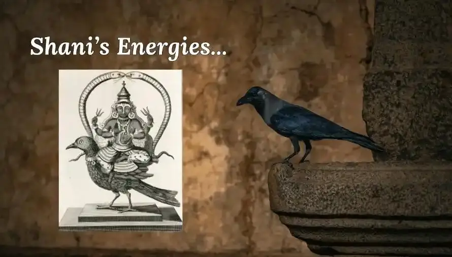 Shani Energies