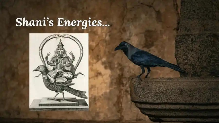Shani Energies